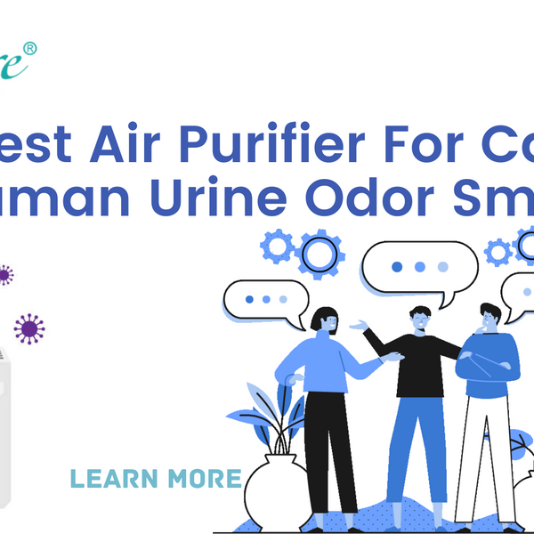 Best air purifier for cat best sale odor