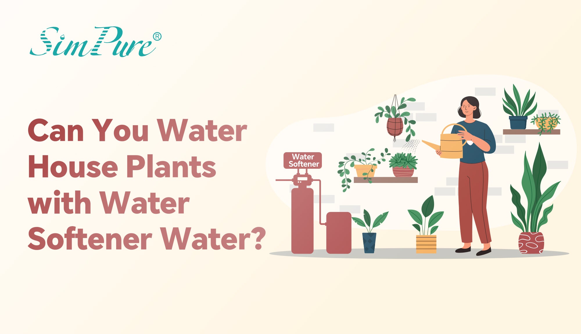 Can You Water House Plants with Water Softener Water