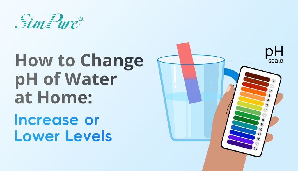 How to Change the pH of Water at Home: Increase or Lower Level