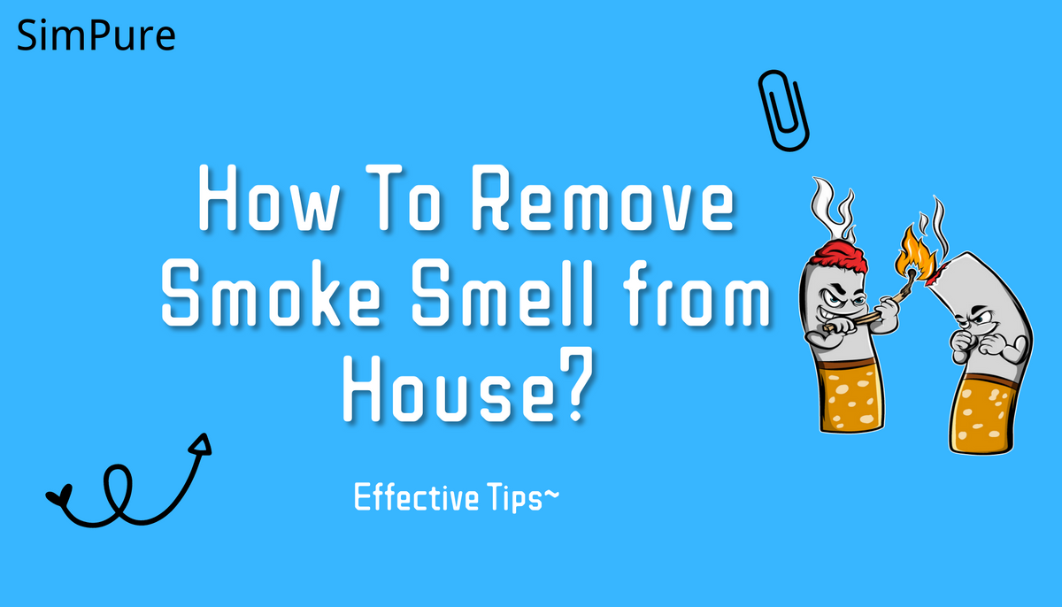 how to remove smoke smell from house