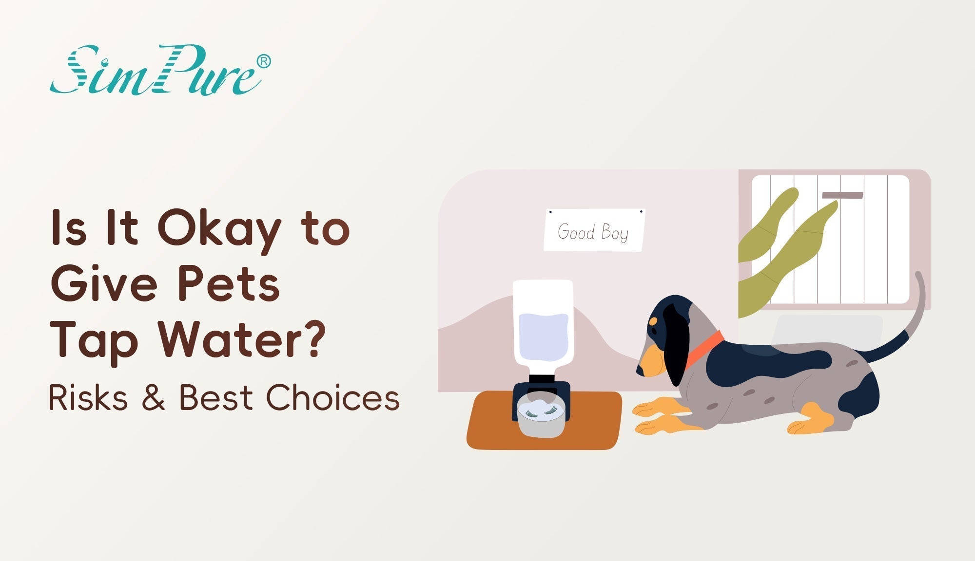 is it okay to give pets tap water