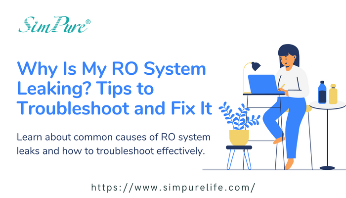 Why Is My RO System Leaking? Tips to Troubleshoot and Fix It