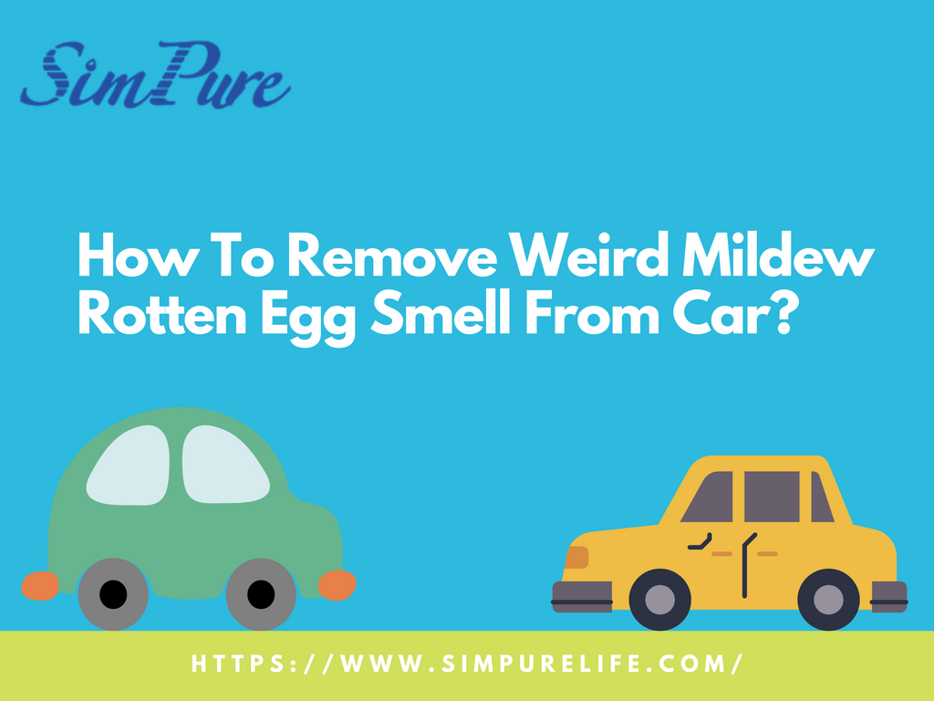 Why Does My Car Smell Like Rotten Eggs? (5 Reasons!)