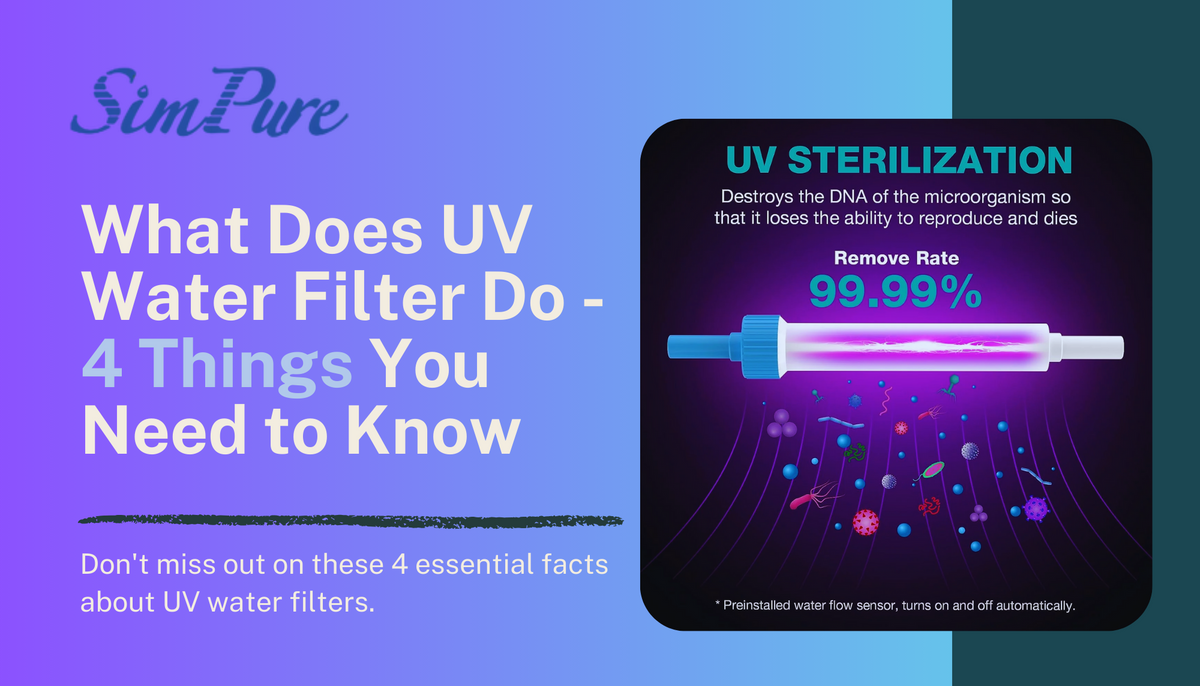 What Does Uv Water Filter Do 4 Things You Need To Know