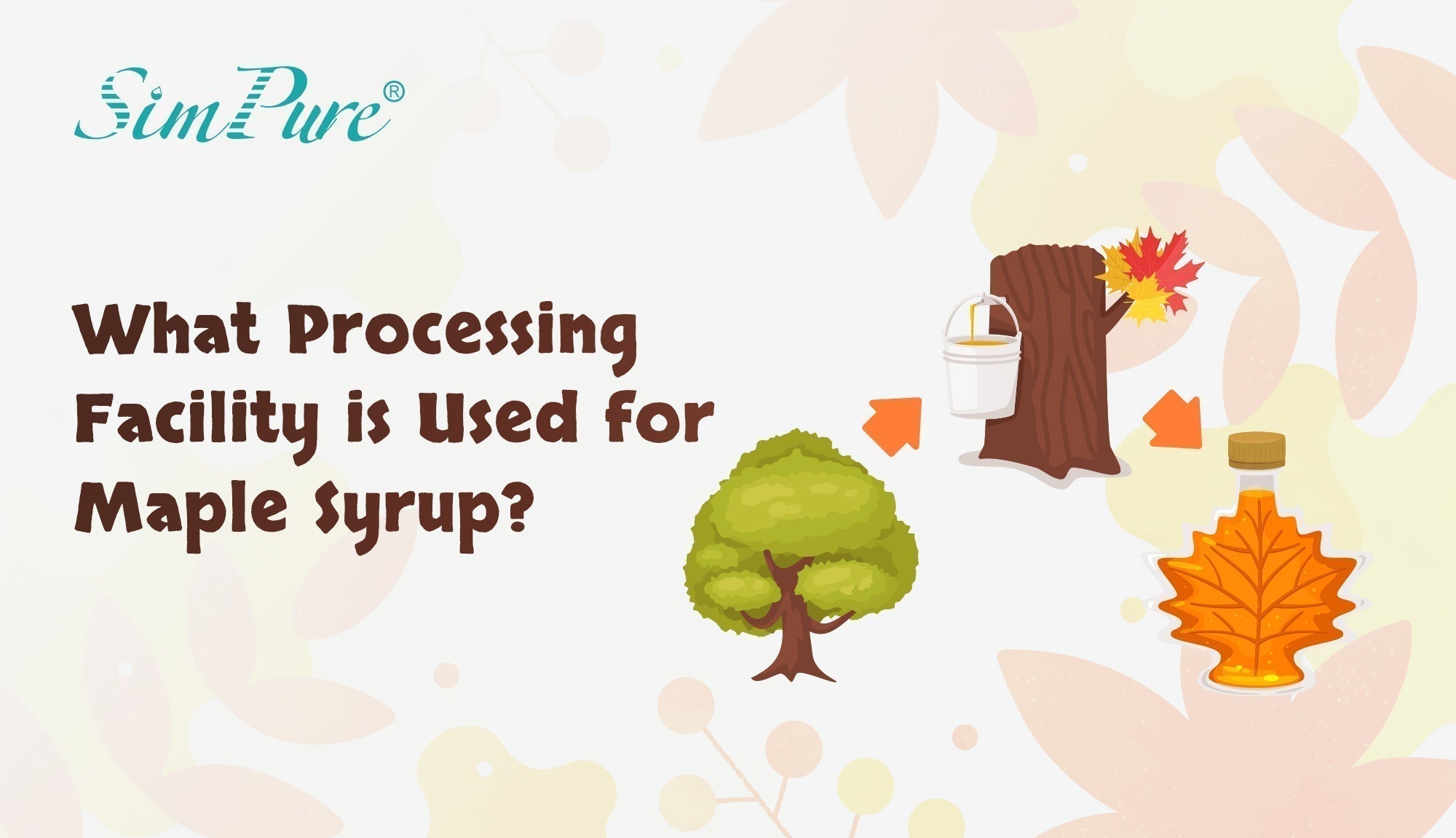 what processing facility is used for maple syrup