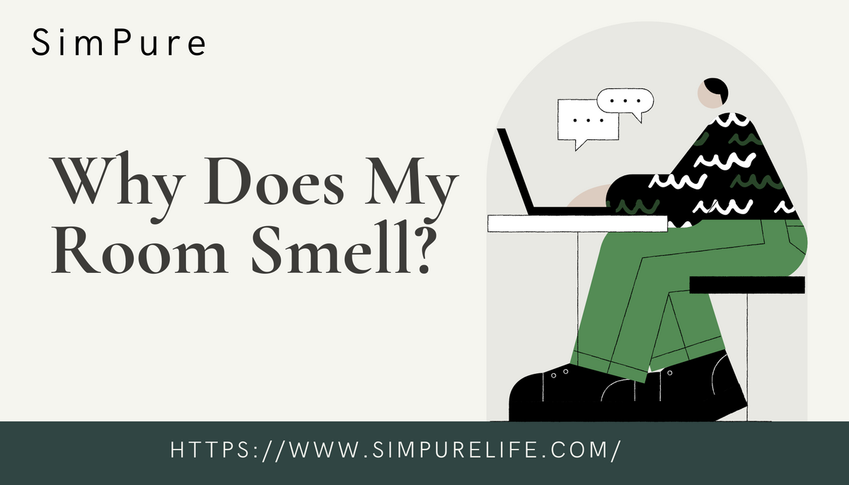 Why Does My Room Smell So Bad? Causes & Solutions!