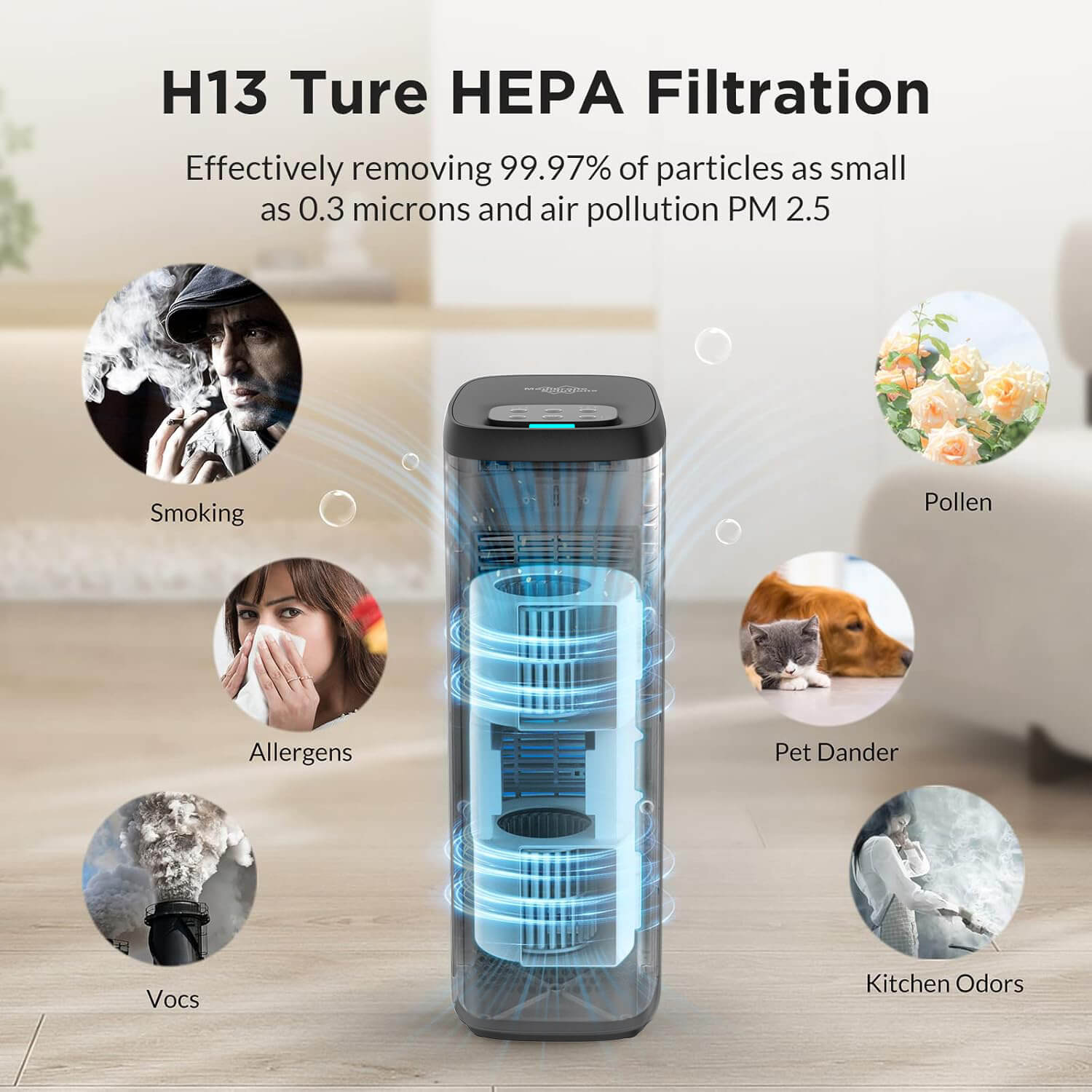 MS18-Black H13 True HEPA Kitchen Air Purifier for Smoke Pet Owner